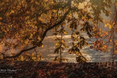 Herfst op komst
