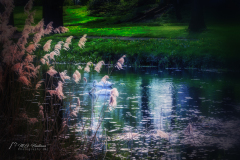 Si_5DM45731a