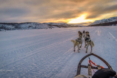 - Hurtigruten - Bergen-Kirkenes-Bergen