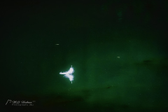Si_IMG_6315aa
