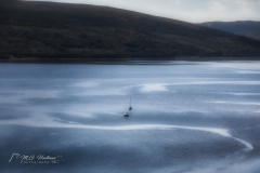 Loch Fyne