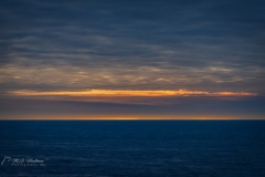 Si_IMG_3557ab