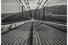 Si_5DM43735-bewerkt-a