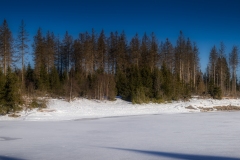 Si_5DM44231-Pano-aa