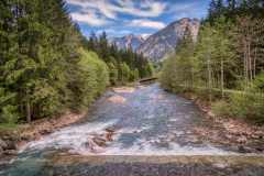 Si_IMG_0692aa