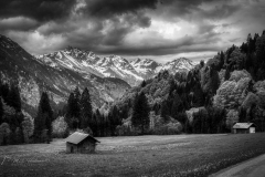 Si_IMG_0754-bewerkt-bd