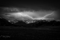 Si_IMG_0860-bewerkt-bd