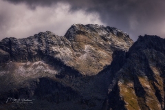 Si_IMG_1600aa
