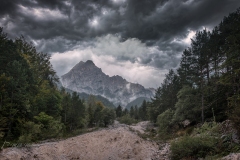 Si_IMG_1601ad