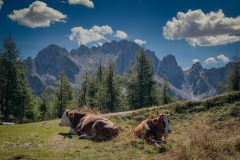 Si_IMG_0573ab
