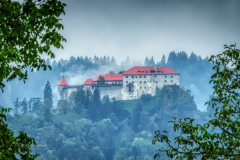 Het Kasteel van Bled