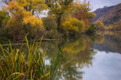 Quiet place along the Moselle (D)