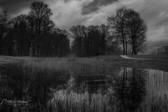 Si_SA702752-bewerkt-bb