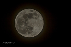 Our moon by night