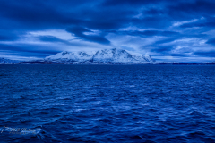 Si_IMG_1413a