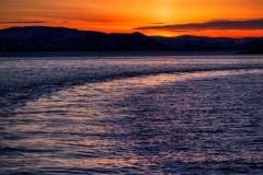 Si_IMG_6957ab