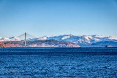 Si_IMG_8430b