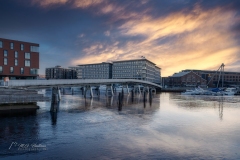 Si_IMG_8754aa