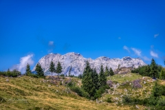 Si_5DM48268ab