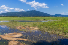 Si_5DM49015-Pano-aa