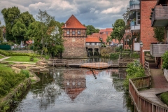 Si_IMG_2576aa