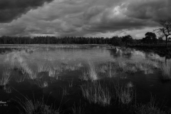 Si_5DM41190-Pano-ae