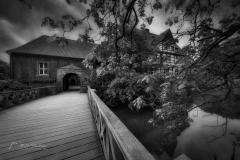 Si_5DM42220ab