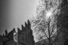 Si_5DM45773ad