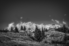 Si_5DM48268ac