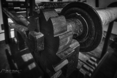 Si_5DM48574ab