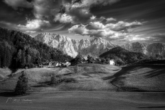 Si_IMG_0239bd
