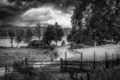 Si_IMG_0680bc