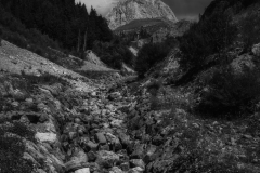 Si_IMG_0702ab