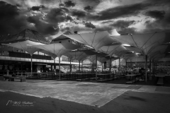 Si_IMG_0750aa