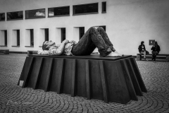 Si_IMG_1300ac