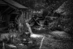 Si_IMG_1308-2ab