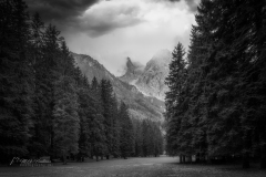 Si_IMG_1348-bewerkt-bd