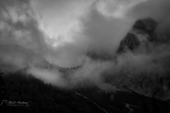 Si_IMG_1359-bewerkt-bc