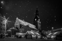 Si_IMG_2524bd