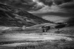 Si_IMG_3769ab