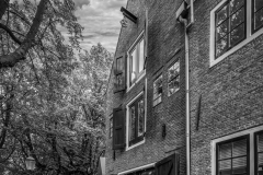Si_IMG_3830a_1_1