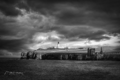Si_IMG_4441ad