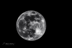 Si_IMG_4922aa
