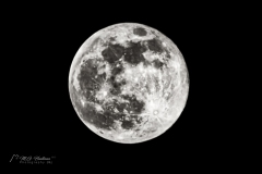 Si_IMG_4951ac