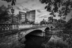 Si_IMG_5702aa