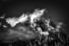 Si_IMG_6104ac