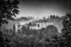 Si_IMG_6468ab