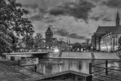 Si_IMG_6565ab