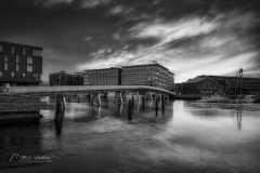 Si_IMG_8754ab