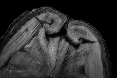 Si_SA701439-bewerkt-ac